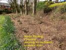 Hot off the Press - This joint project sees Park Border replanted