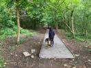 The Parks Roundwood - Wood access greatly improved with new boardwalk