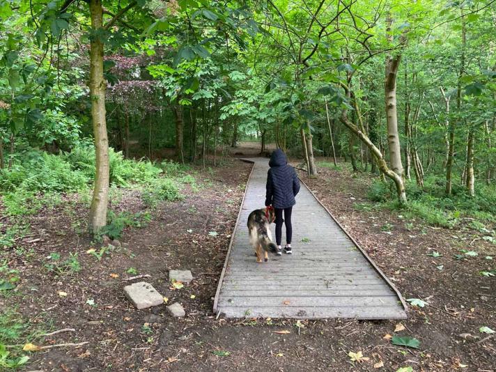 As part of the Heritage Lottery funding this new board walk has greatly improved access of a traditionally muddy area.