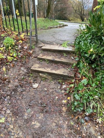 Upgraded access to include safety handrail
