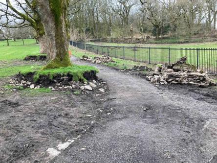  - Work has started to repair the walled trees