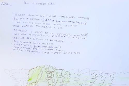  - Nettle Poster