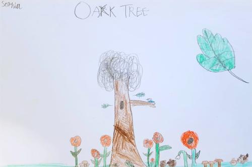  - Oak poster 1
