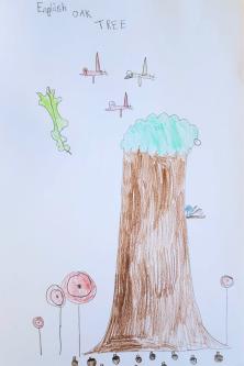  - Oak poster