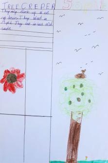  - Treecreeper poster 1