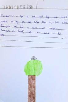  - Treecreeper poster 2