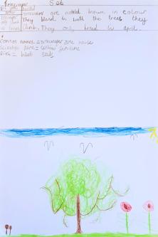  - Treecreeper poster 3